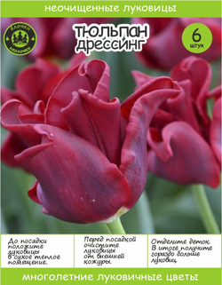 Тюльпан Луковица, Дрессинг, 6+шт