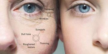 ГЛАВНЫЕ ФАКТЫ ПРО КОЛЛАГЕН