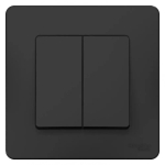 BLANCA С/У 2-клавишный ПЕРЕКЛЮЧАТЕЛЬ (cх.6+6), 10А, 250В, АНТРАЦИТ