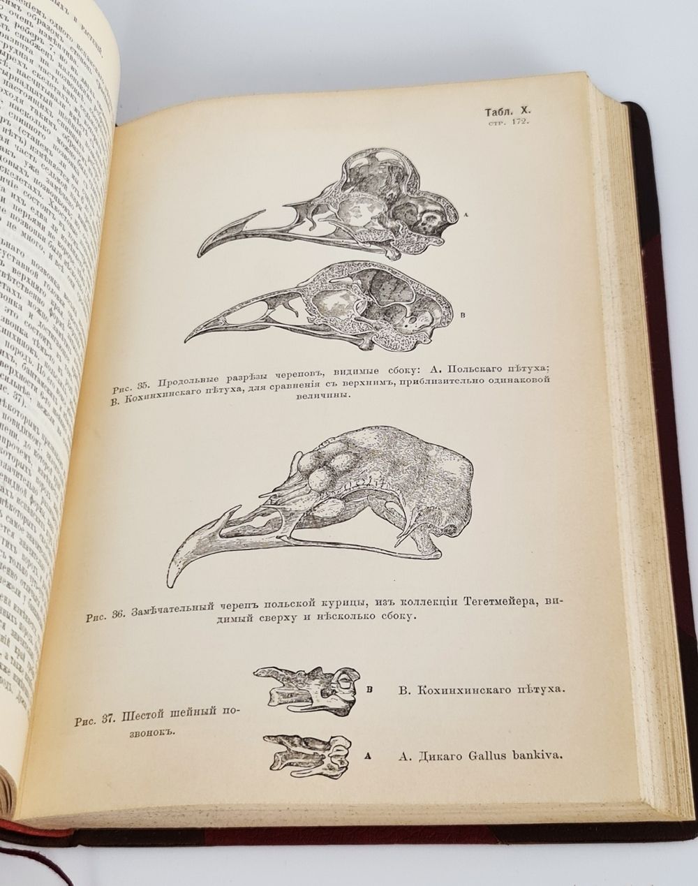 "Собрание сочинений.  В четырех томах."  Ч.Р.Дарвин. 1901 г.