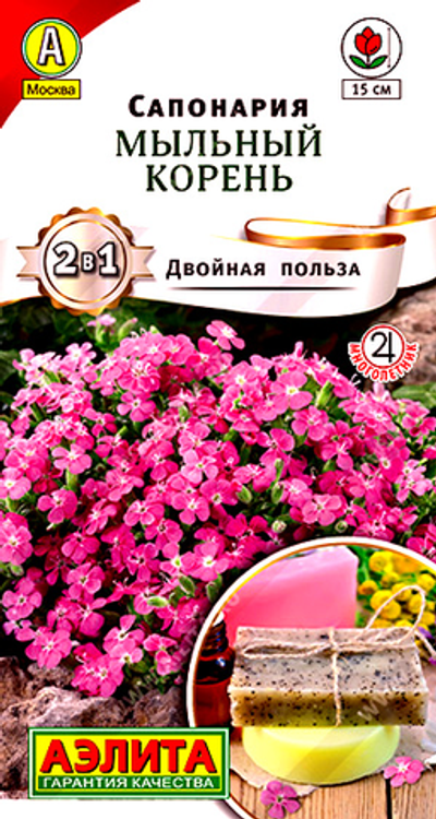 Сапонария Мыльный корень