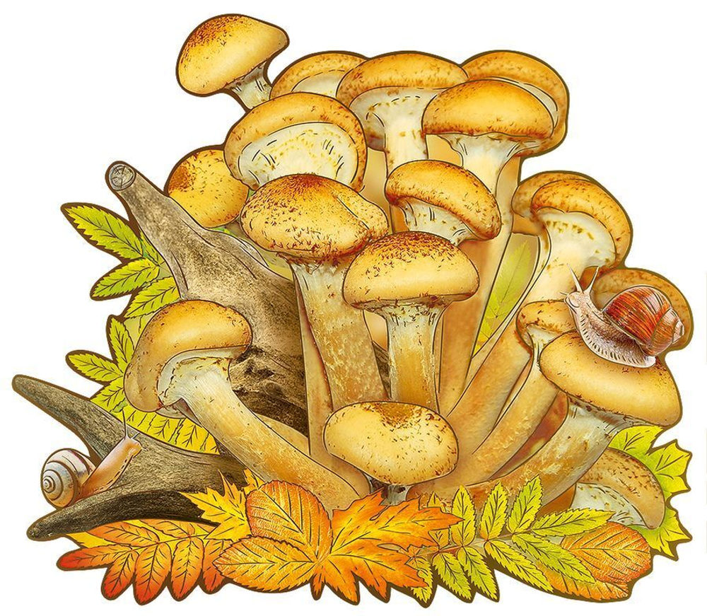 Украшение на скотче "Опята", 164*142мм, 46071 29.792.00