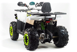 Квадроцикл MOTOLAND ATV 200 Wild Track