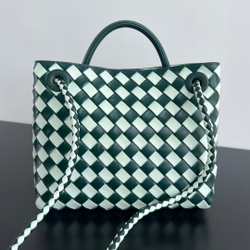 Bottega Veneta Small Andiamo 25 cm