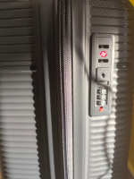 ДОРОЖНЫЙ ЧЕМОДАН SAFARI VASKA, размер L, серый