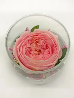 натуральный пион в стекле, вакуум*