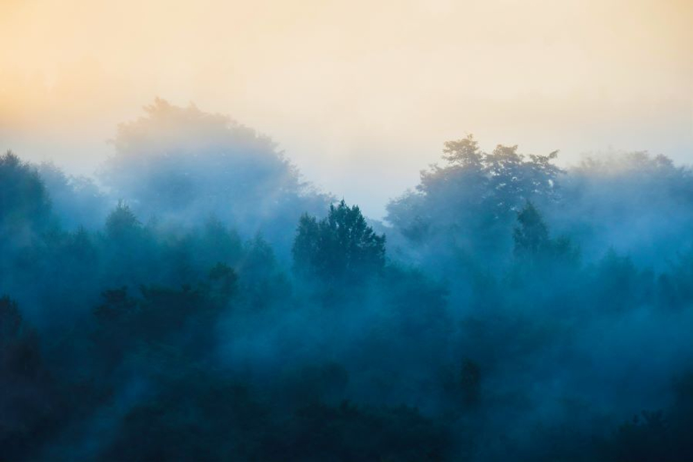 Фреска Applico, коллекция Natura