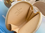 Louis Vuitton Multi Pochette