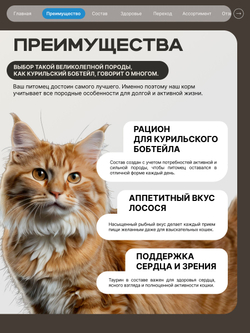 Корм сухой для взрослых кошек породы Курильский бобтейл, с лососем, 2 кг, QUATTRO