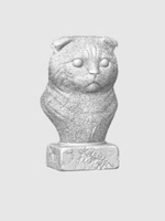Шотландская Вислоухая Кошка