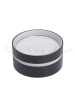 Светильник потолочный накладной Kristy Light KL1189 GX53
