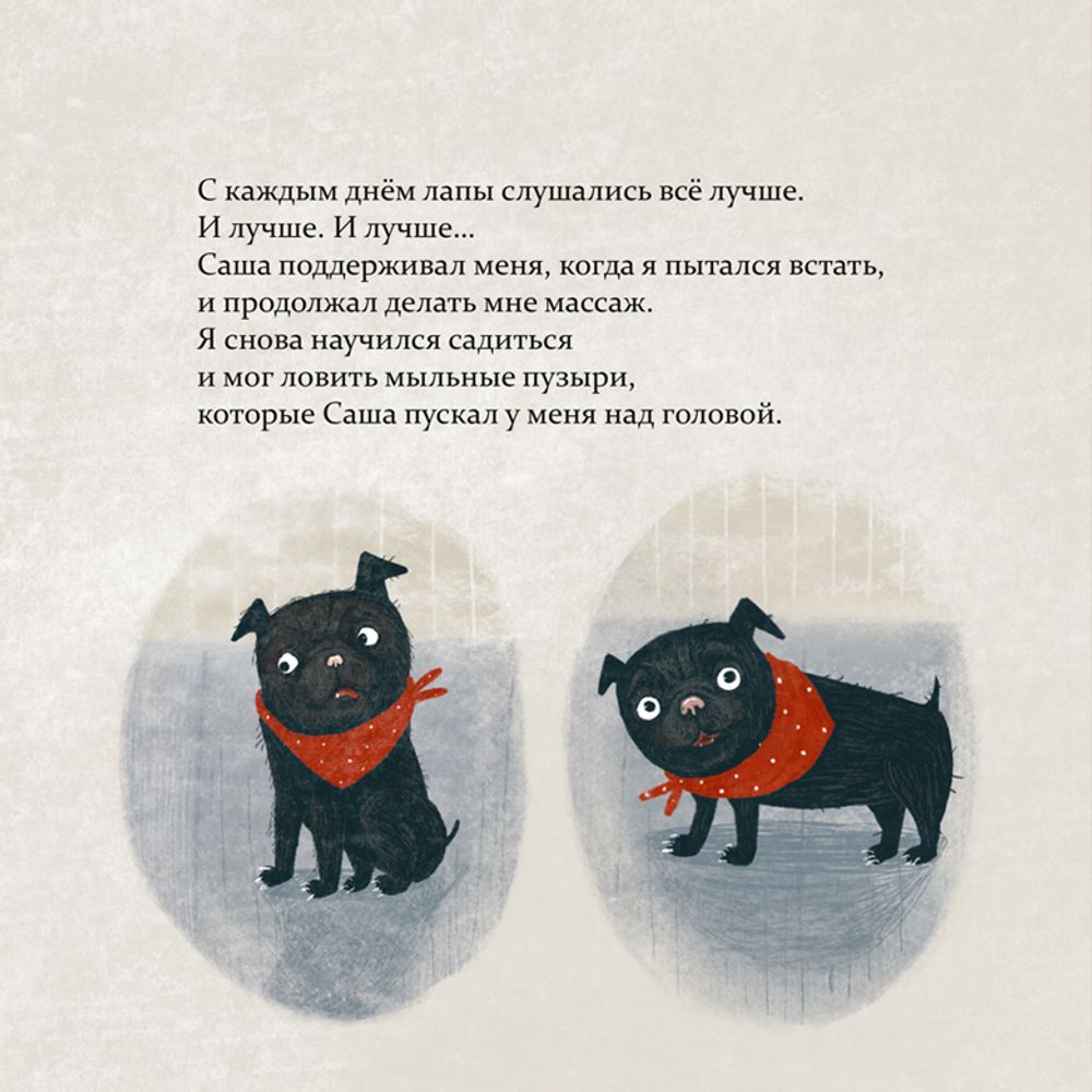 Марсель встает на лапы