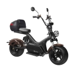 Электроскутер SKYBOARD CITYCOCO BR50-3000 PRO