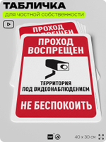 Табличка для частной территории "Проход воспрещен", на дом, для участка, организаций и частных территорий, предупреждающая, 40х30 см, Silver Plane x Айдентика Технолоджи