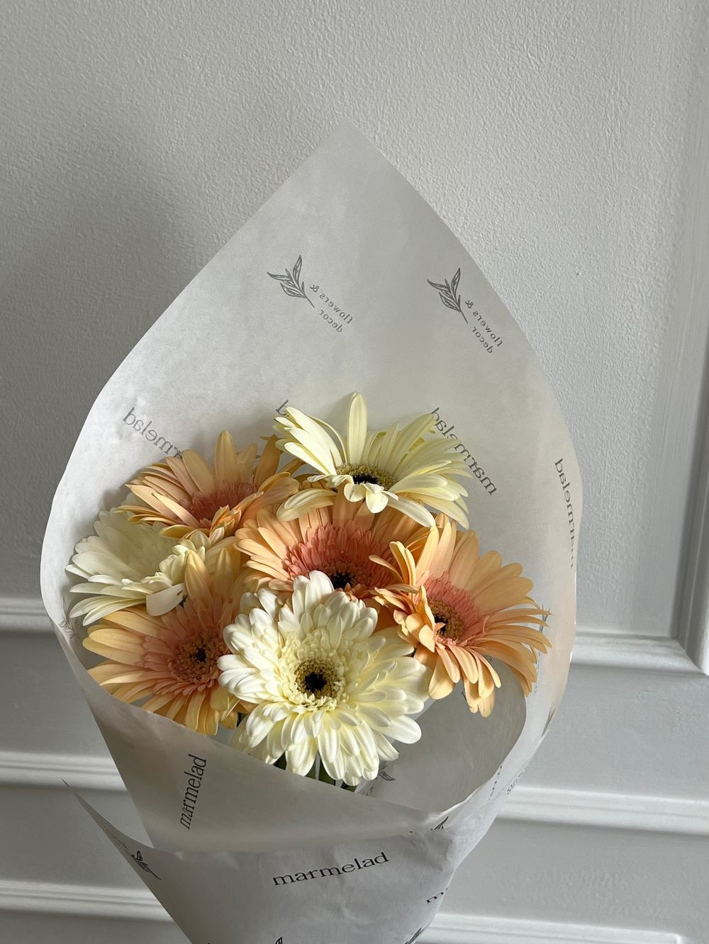 Кулек из гербер в кремовом оттенке 7 шт