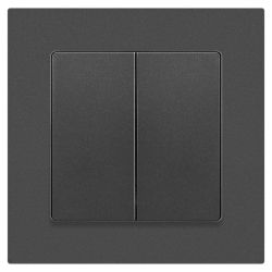 Выключатель Intro Accent 6-104-07 двойной, 10А-250В, IP20, СУ, AL/CU, графит | Intro