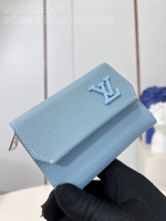 Louis Vuitton Pilot Wallet