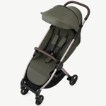 Детская коляска Anex IQ Premium 2 в 1 richi