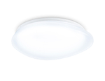 FZ1601 FR матовый IP20 40W 5000K 410*100 (Без ПДУ)