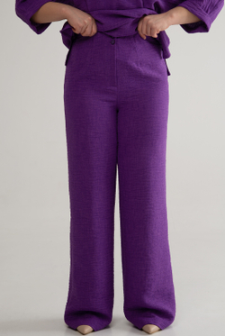Брюки женские 02, фиолетовый #527Ф0202