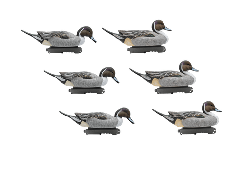 Шилохвость селезень "FA LAST PASS PINTAIL FLOATERS" (12 селезней) FA-233520