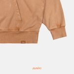  Толстовка мужская Dickies Plentywood Hoodie артикул:DK0A866D0BD1 - купить в магазине Дайс