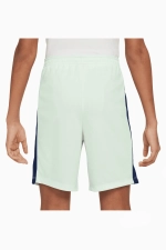 Шорты Nike Dri-FIT CR7 Junior - голубой