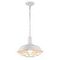 Подвесной светильник Arte Lamp 74 A9183SP-1WG