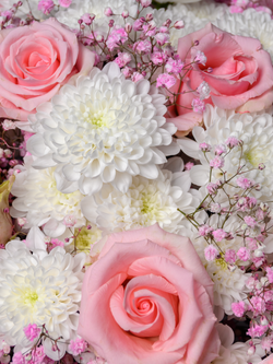 Нежные мечты *