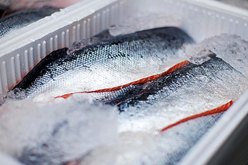Холодильная, морозильная камера для рыбы