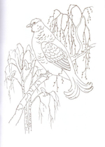 Альбом для раскрашивания полноцветный. Раскраски