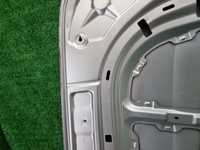 Капот Hongqi H9 (2020-н.в.)