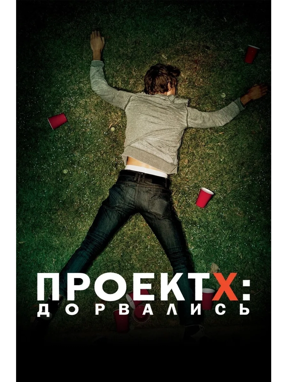 Проект X (2012) (DVD-R)