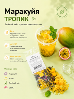Набор авторского чая Tasteabrew "ICE" (25 порций чая + система заваривания в подарок)