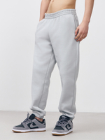 Брюки мусжкие с начесом "jogger fleece" (бетон)