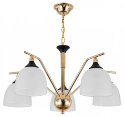 Подвесная люстра Escada Actinidia 2123/5P