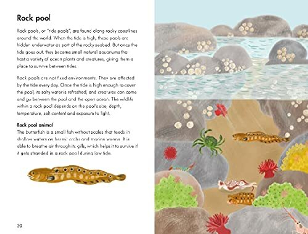 Ladybird Book: Animal Habitats 