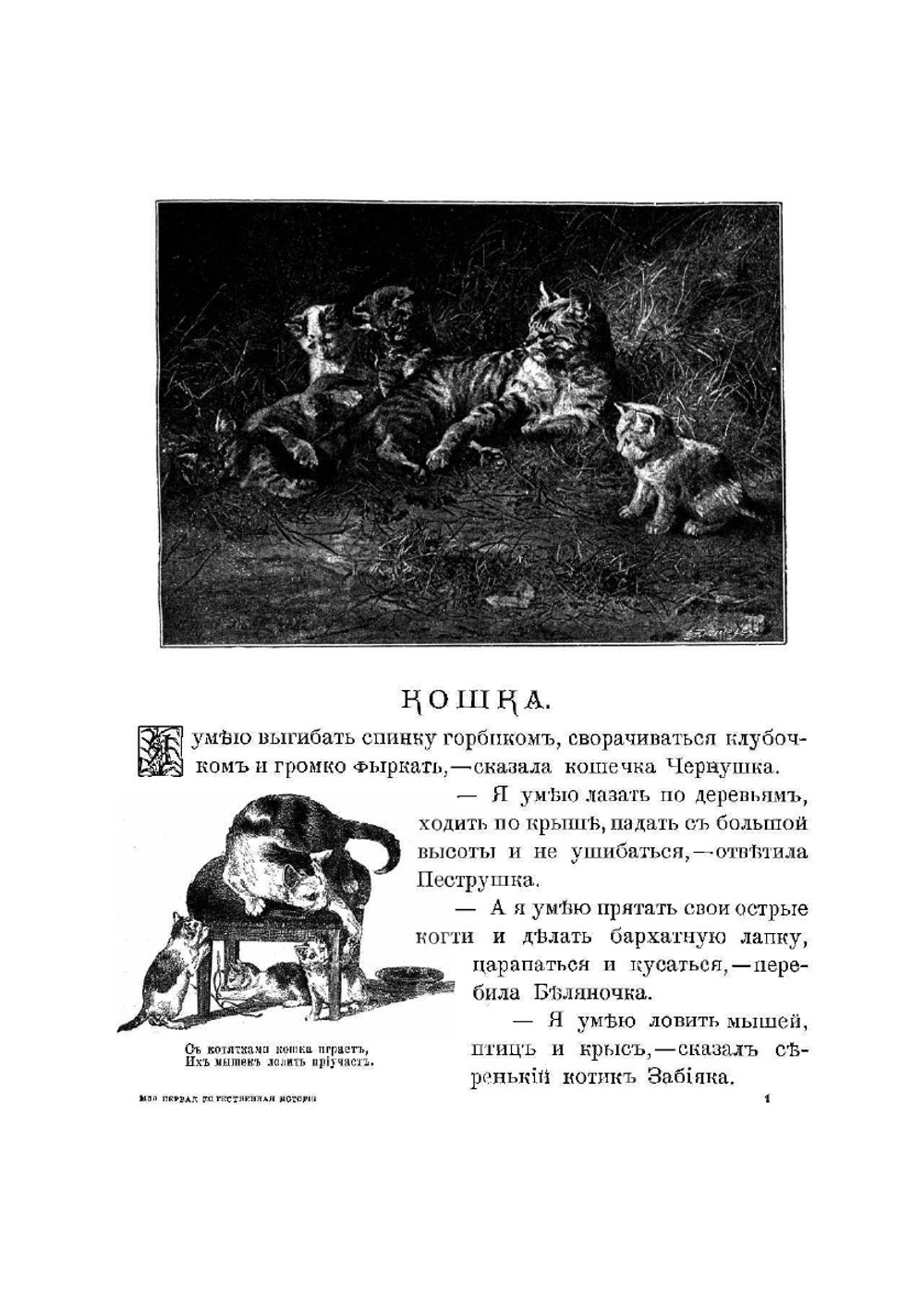 Моя первая естественная история | Некрасова Л. М.