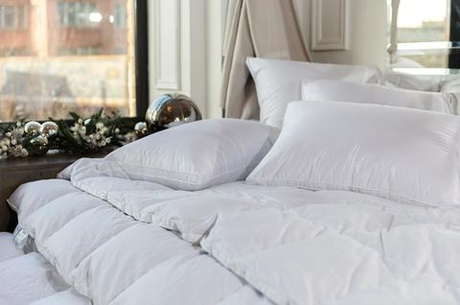 Подушка пуховая с бортиком 50x68 German Grass White Familie Down