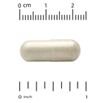 Super Nutrition, Think Support, с гинкго билоба, тюбетейкой, готу колой, бакопой и ферментами, 180 растительных капсул