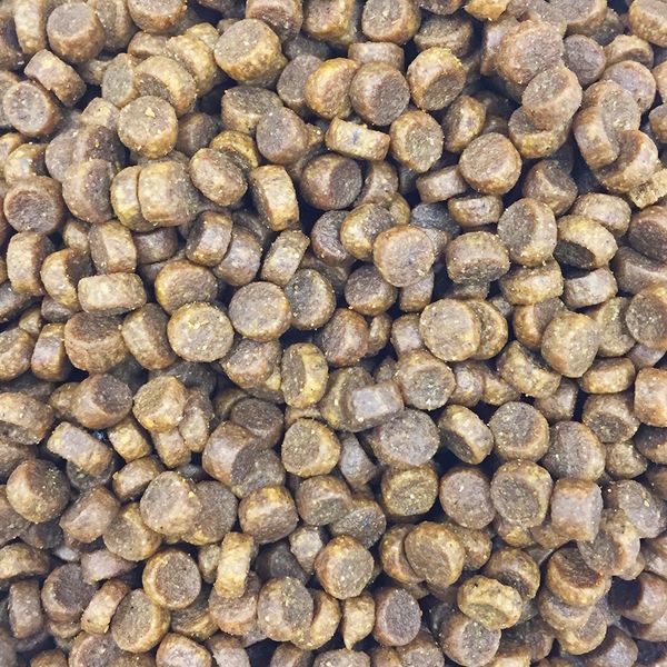 Уценка! Повр.упак. / Сухой корм ProBalance Gourmet diet Adult для взрослых собак с говядиной и ягненком