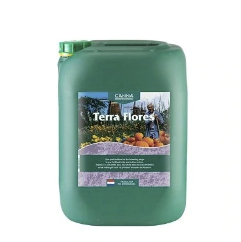 Canna Terra Flores