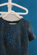Bluebird dress