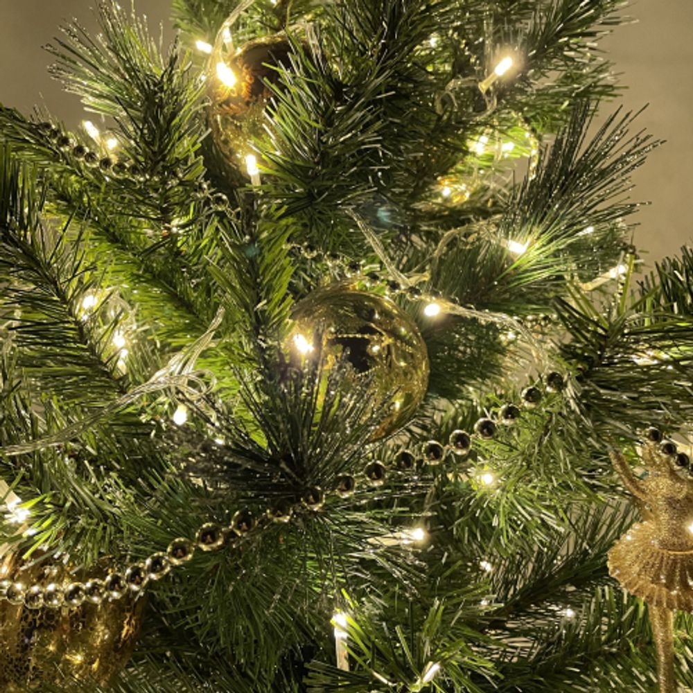 ENON-5B ЭРА Гирлянда LED Нить 5 м теплый свет, 24V, IP44 | Гирлянды