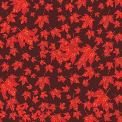 Осенний паттерн. Красные листья клена.