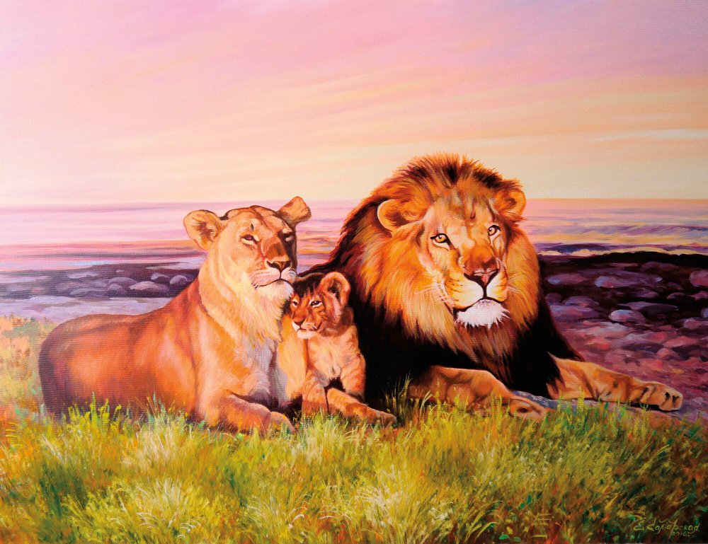 Коллекция Животные