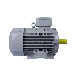 Электродвигатель ESQ PR 100 LA2-SDN-Б1-S12-IE3 3/3000 IMB3