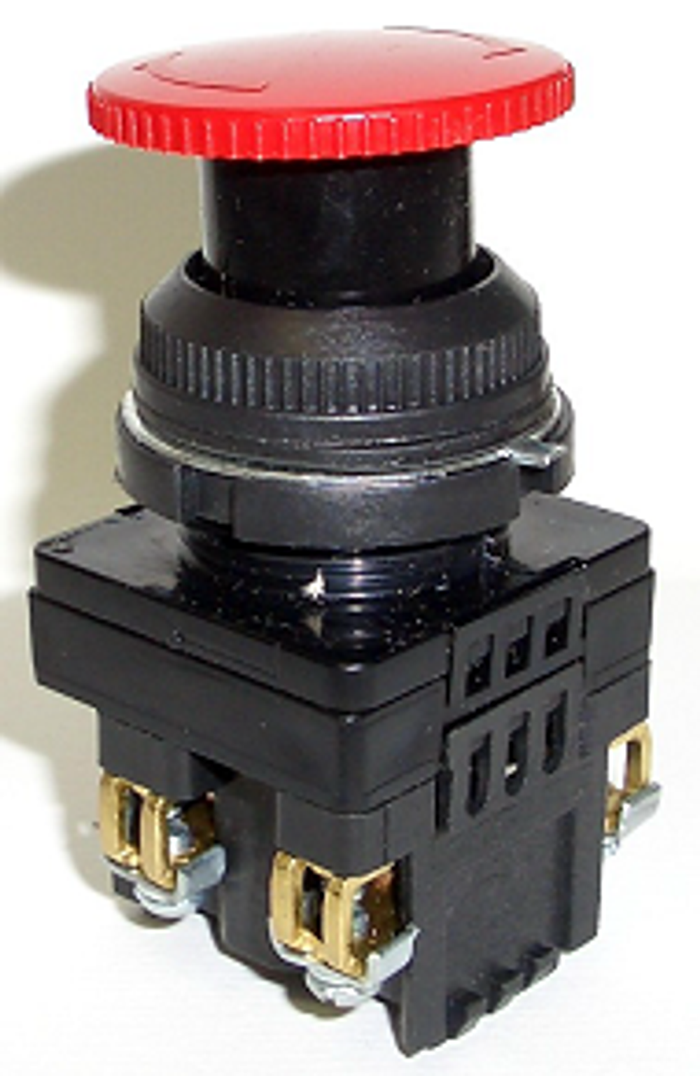 p_0023156_-1223061097.png