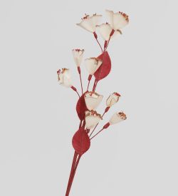 TR 381 Любимая