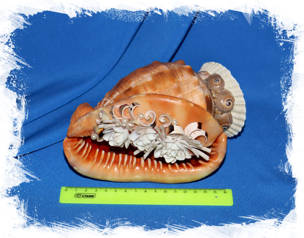 Композиция из Ципрекассиса Рафа с цветами